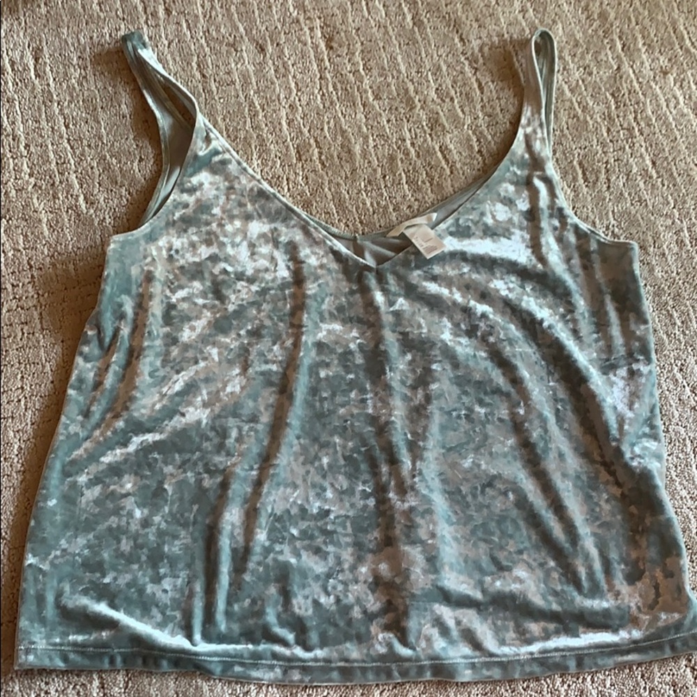 NWOT Velvet V-neck top